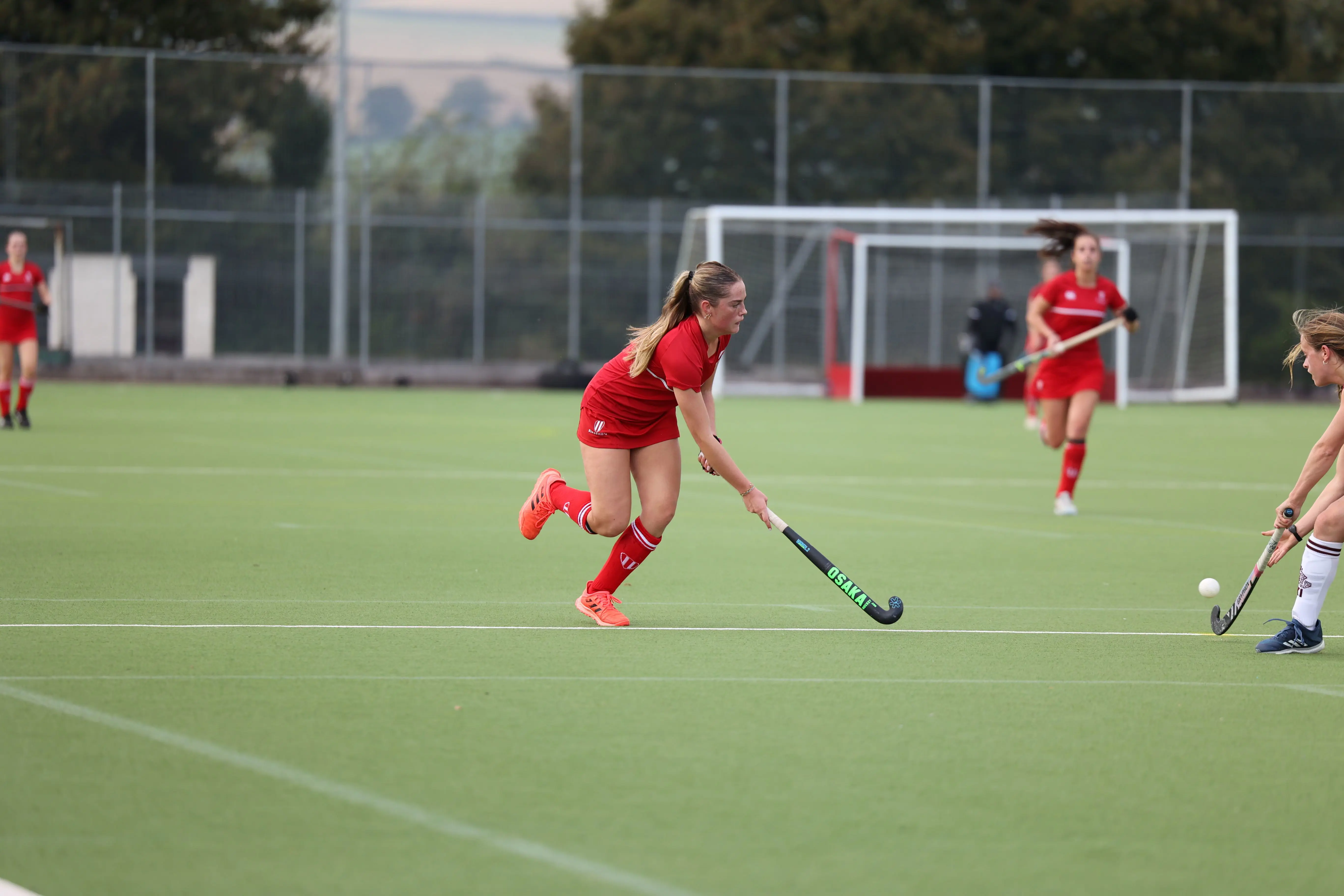 OptimizedImage,Optimized