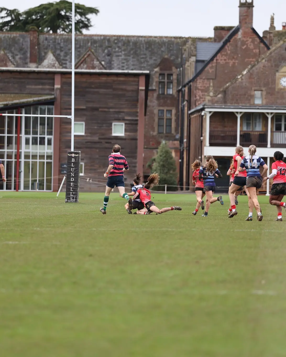  OptimizedImage,,,Optimized