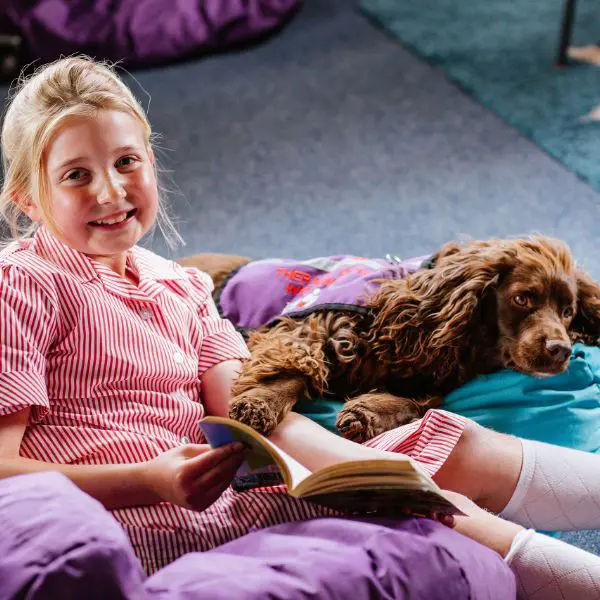  OptimizedImage,Optimized