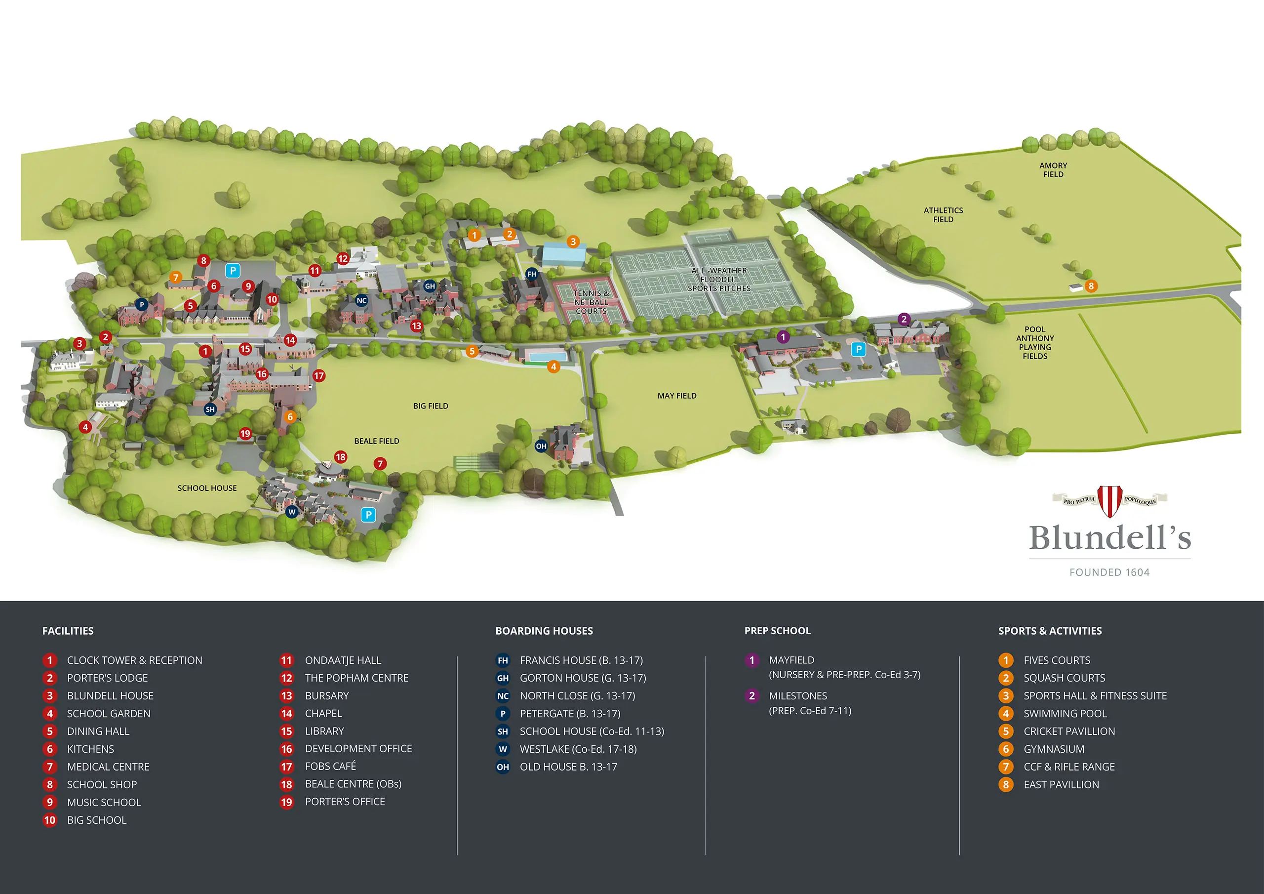 OptimizedImage,Optimized