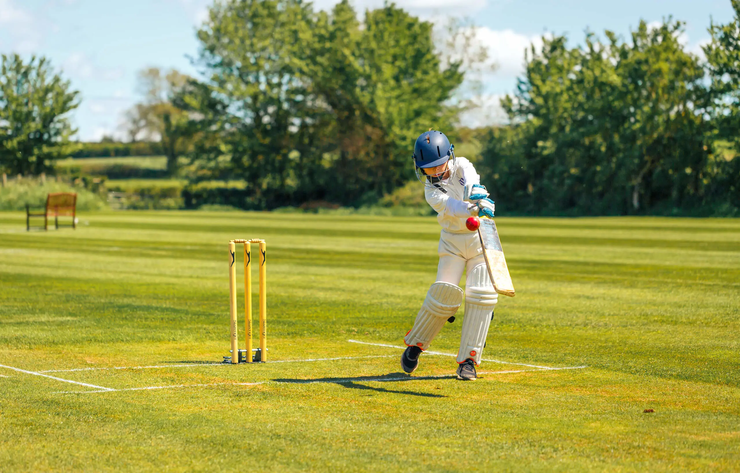 OptimizedImage,Optimized