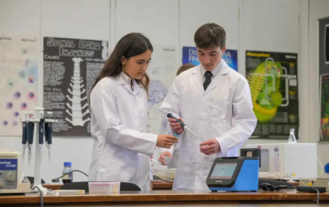 Students in science lesson