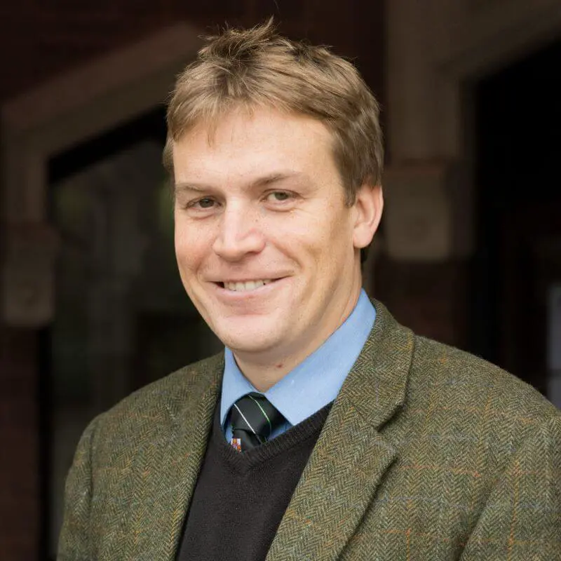  OptimizedImage,Optimized