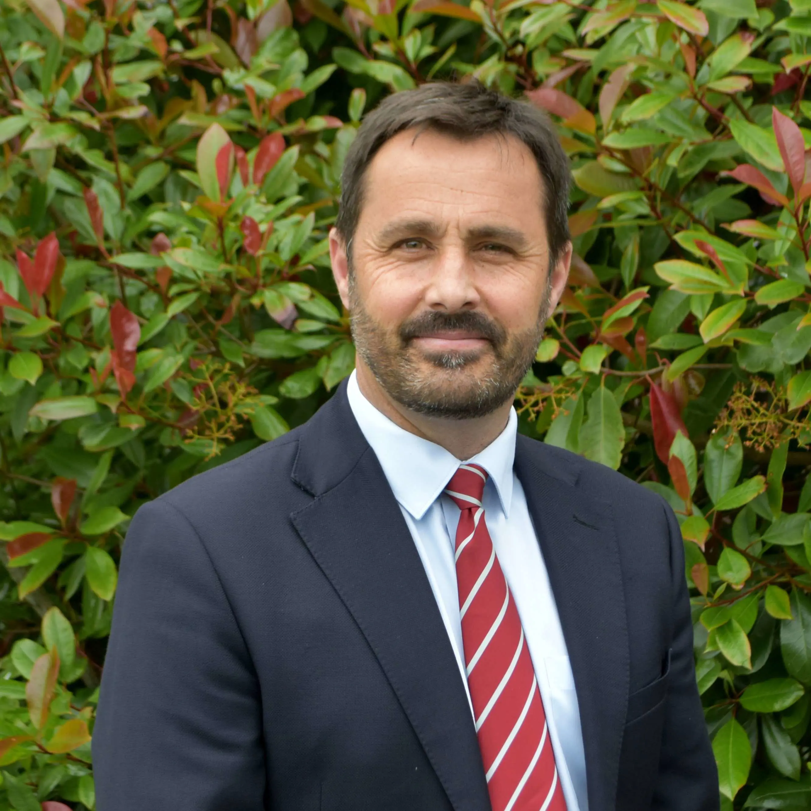 OptimizedImage,Optimized