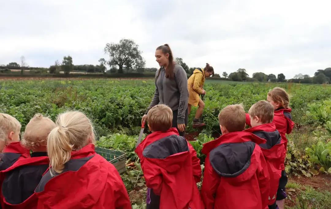 Students on school trip to farm