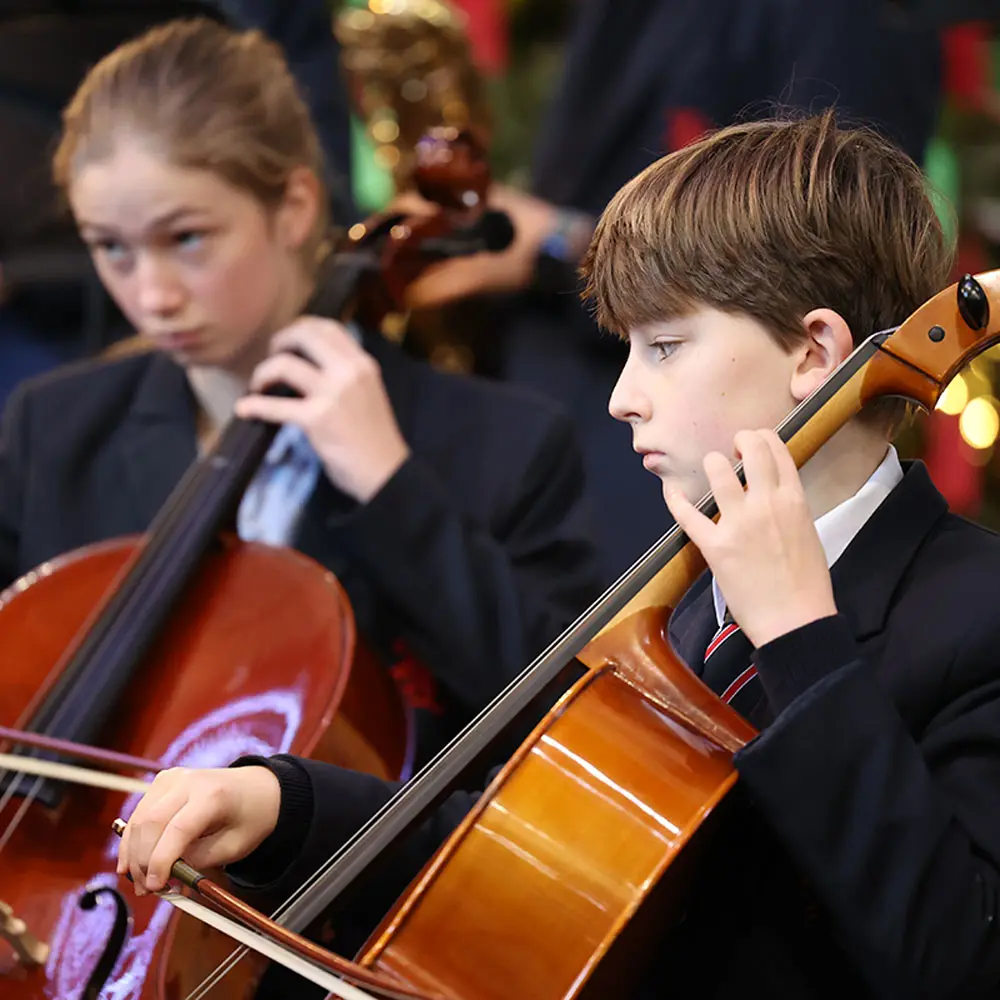  OptimizedImage,Optimized