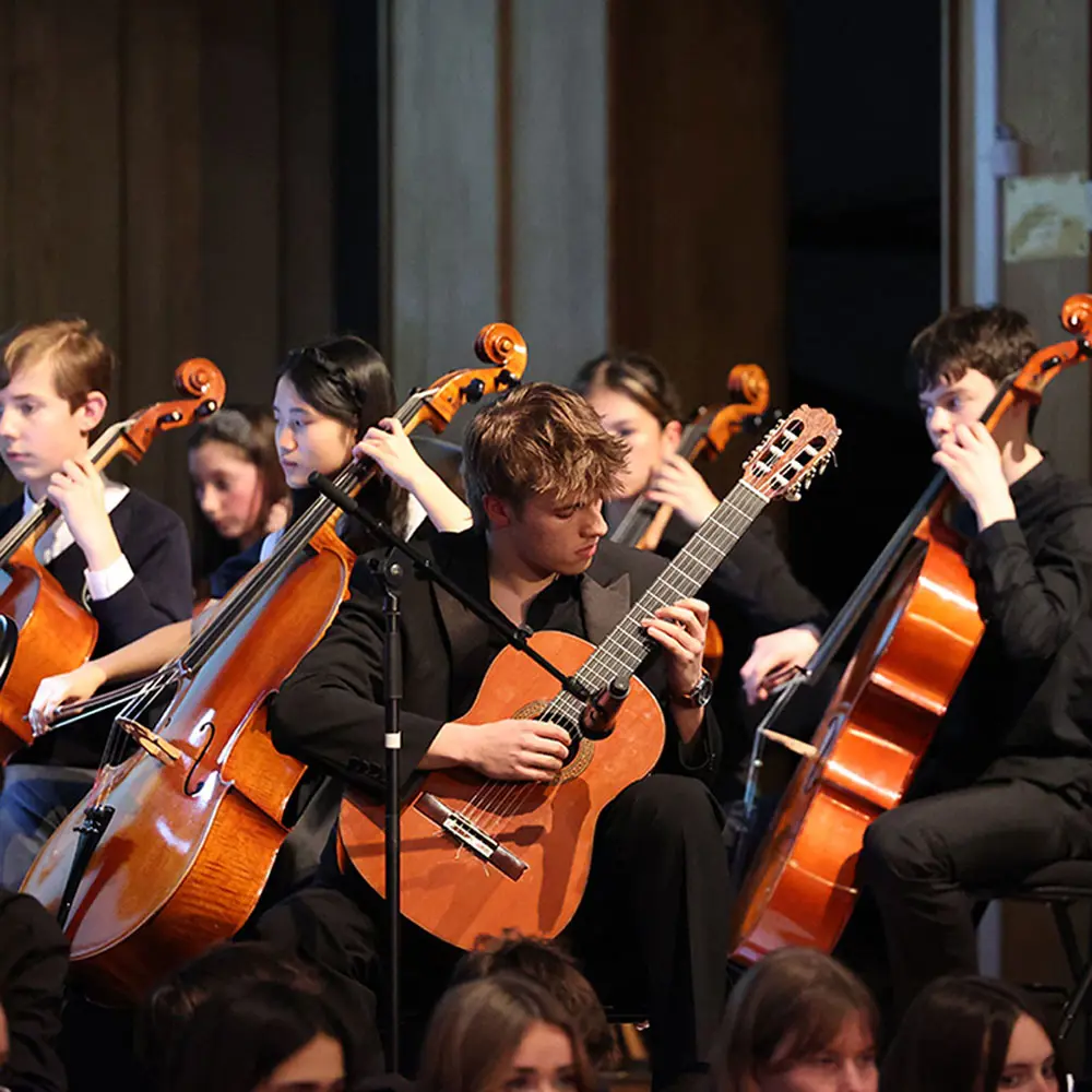  OptimizedImage,Optimized