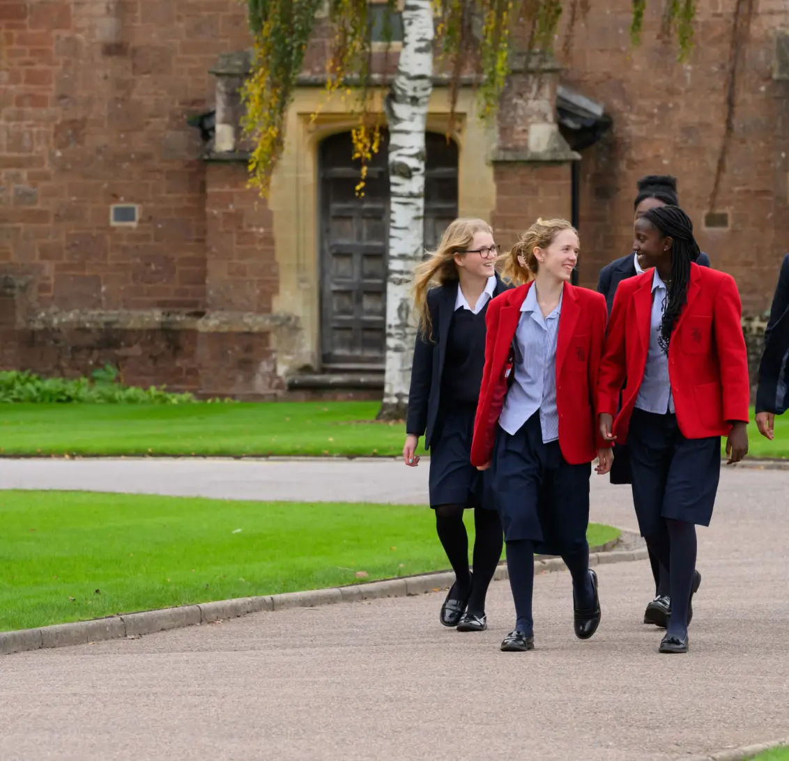  OptimizedImage,Optimized