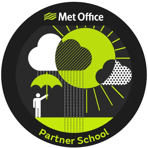  OptimizedImage,,,Optimized