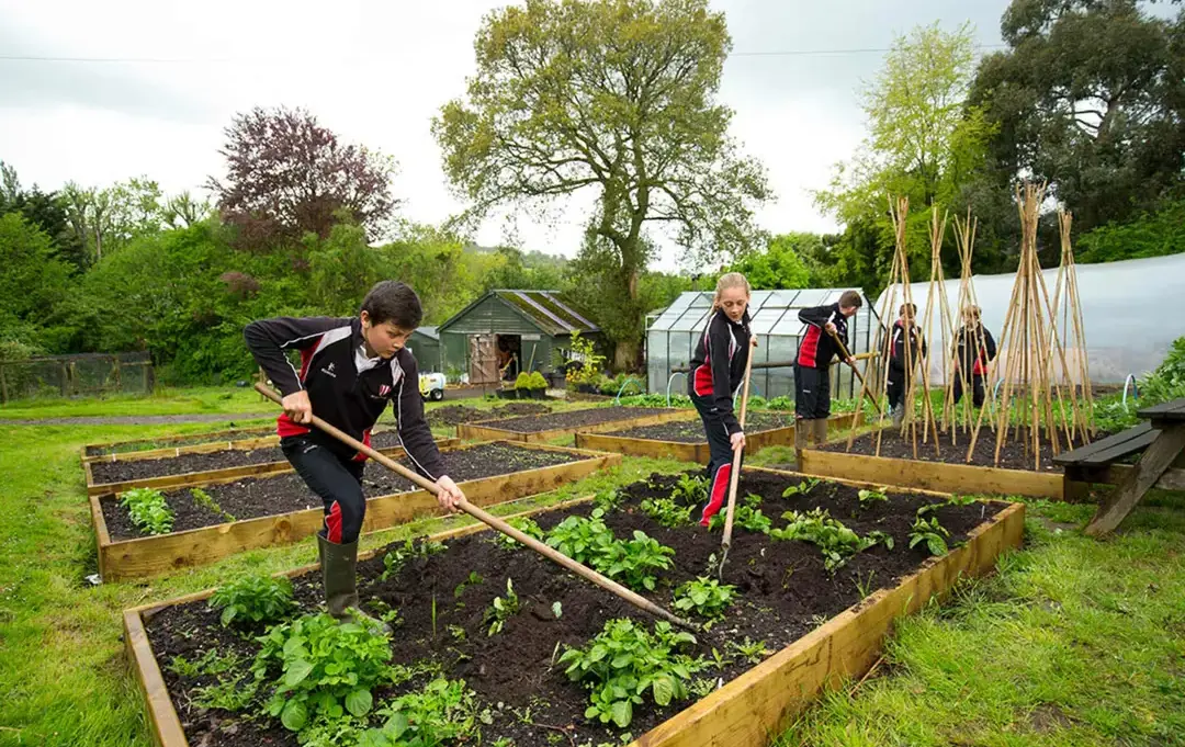 Atudents gardening