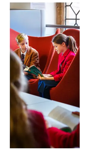  OptimizedImage,Optimized