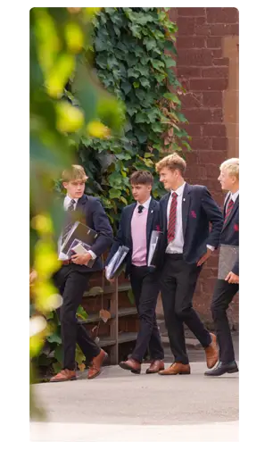  OptimizedImage,Optimized