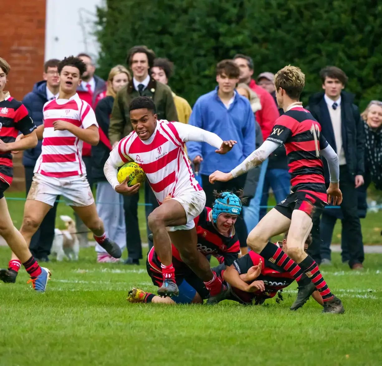 Students playing rugby