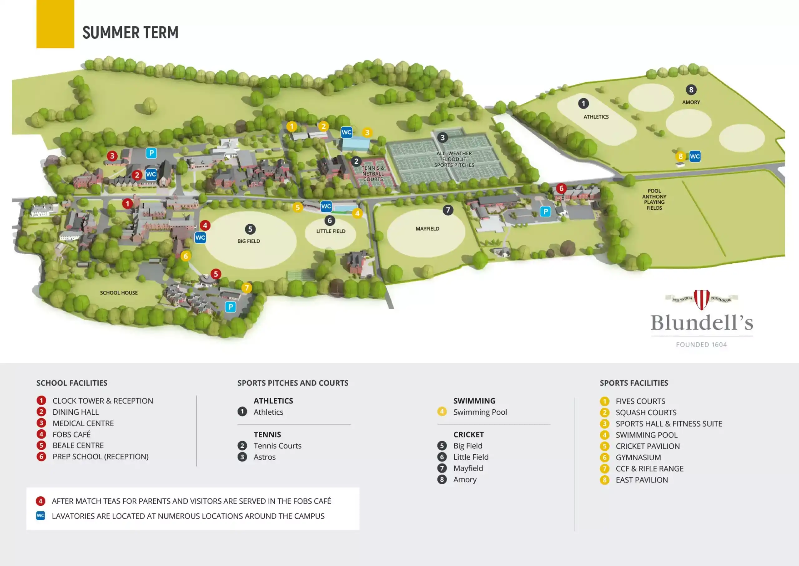 OptimizedImage,Optimized