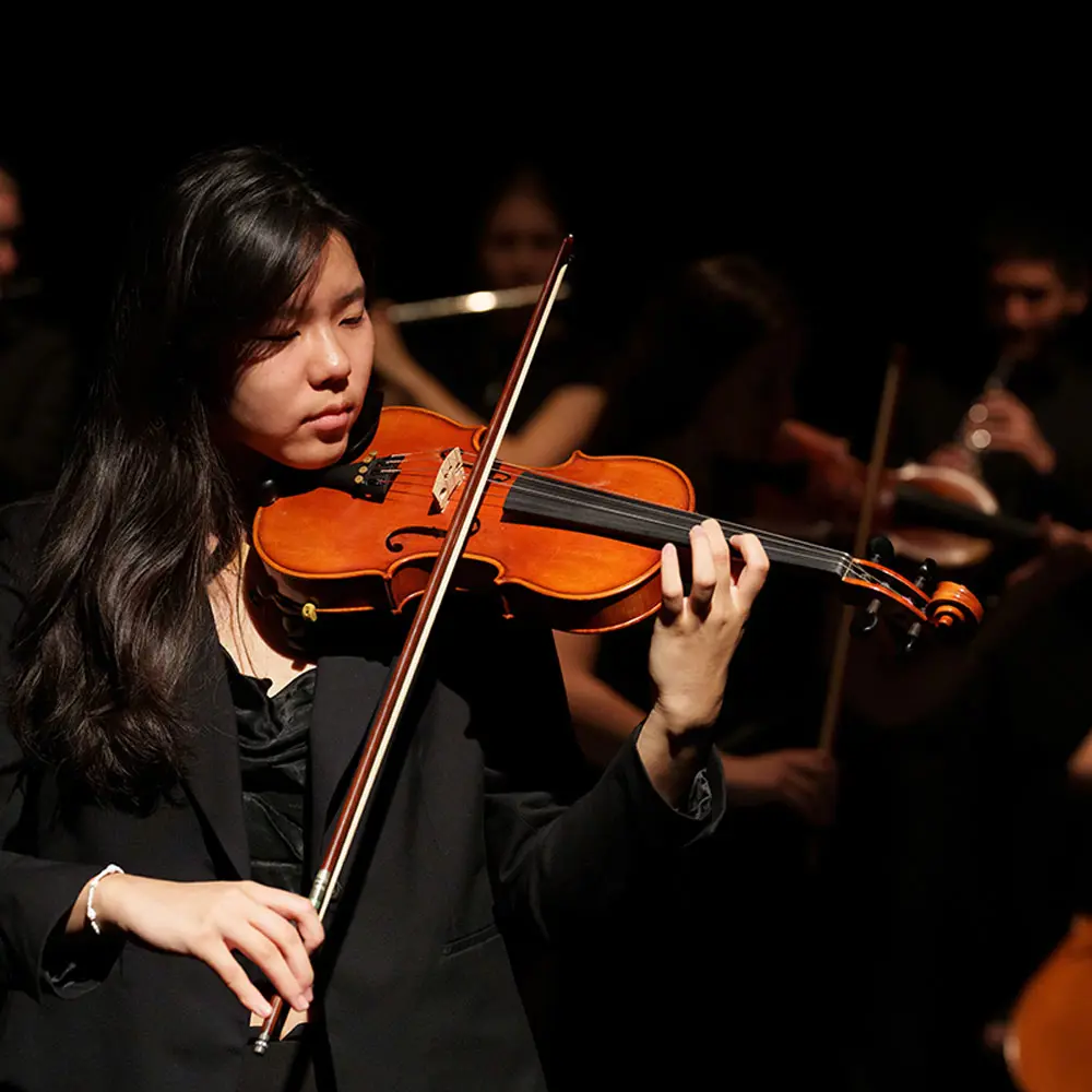  OptimizedImage,Optimized