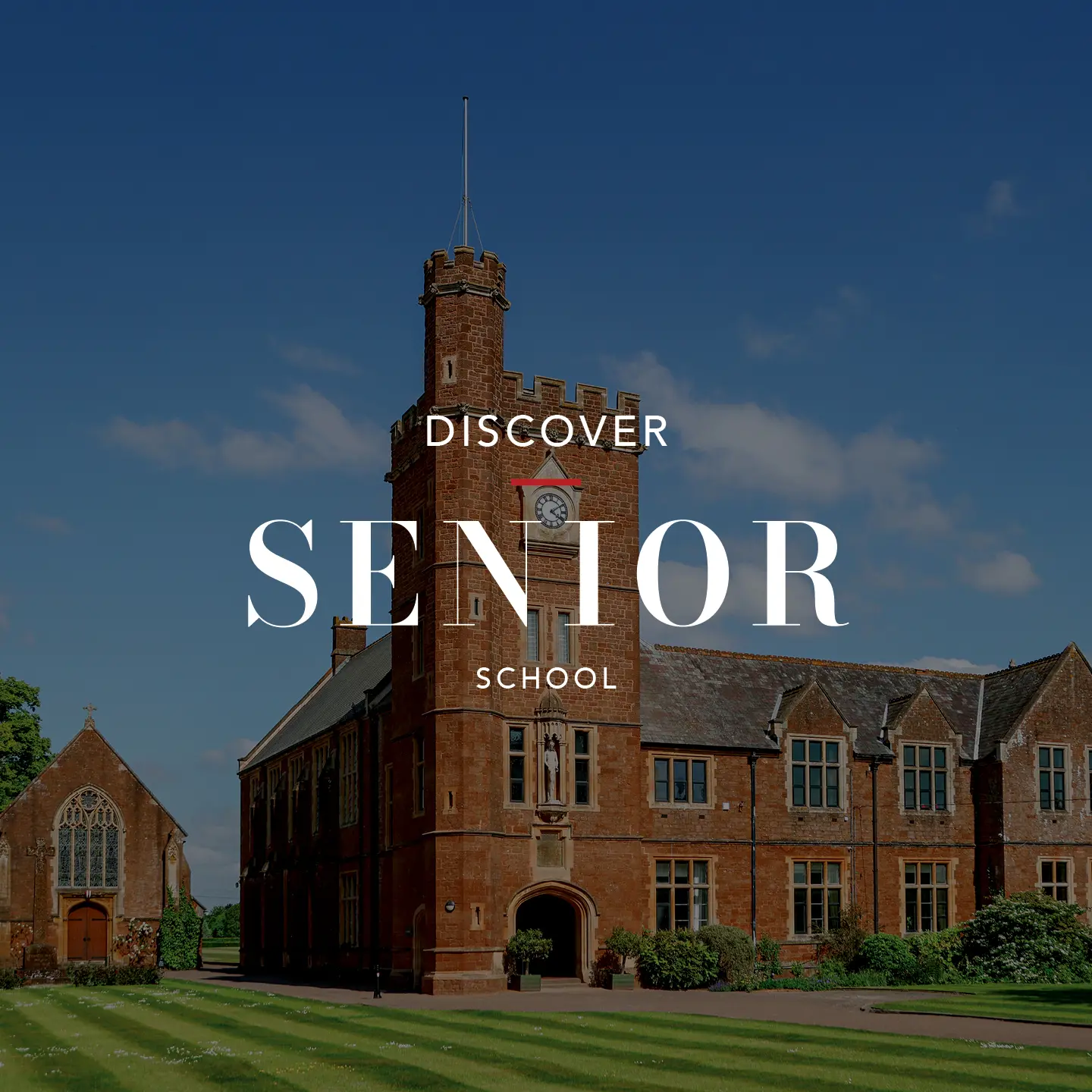 OptimizedImage,Optimized