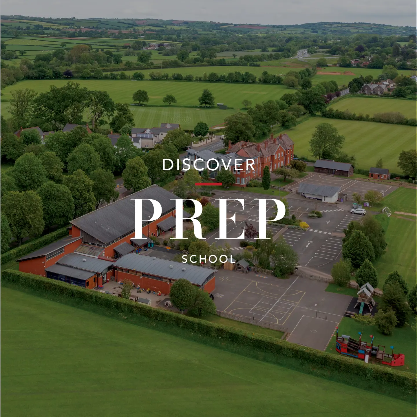 OptimizedImage,Optimized