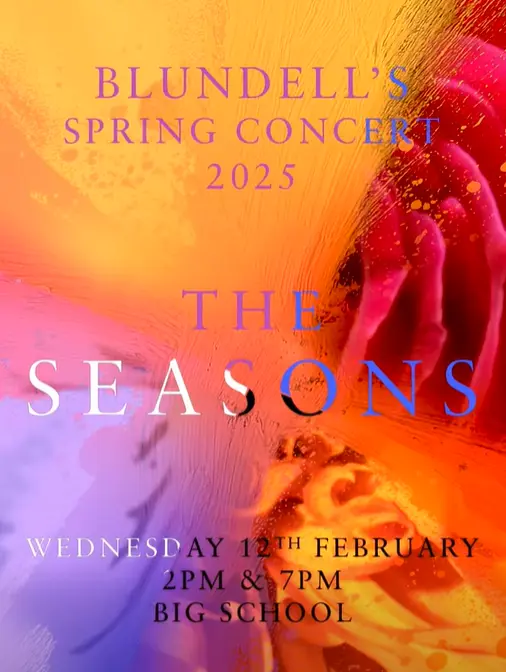  OptimizedImage,Optimized