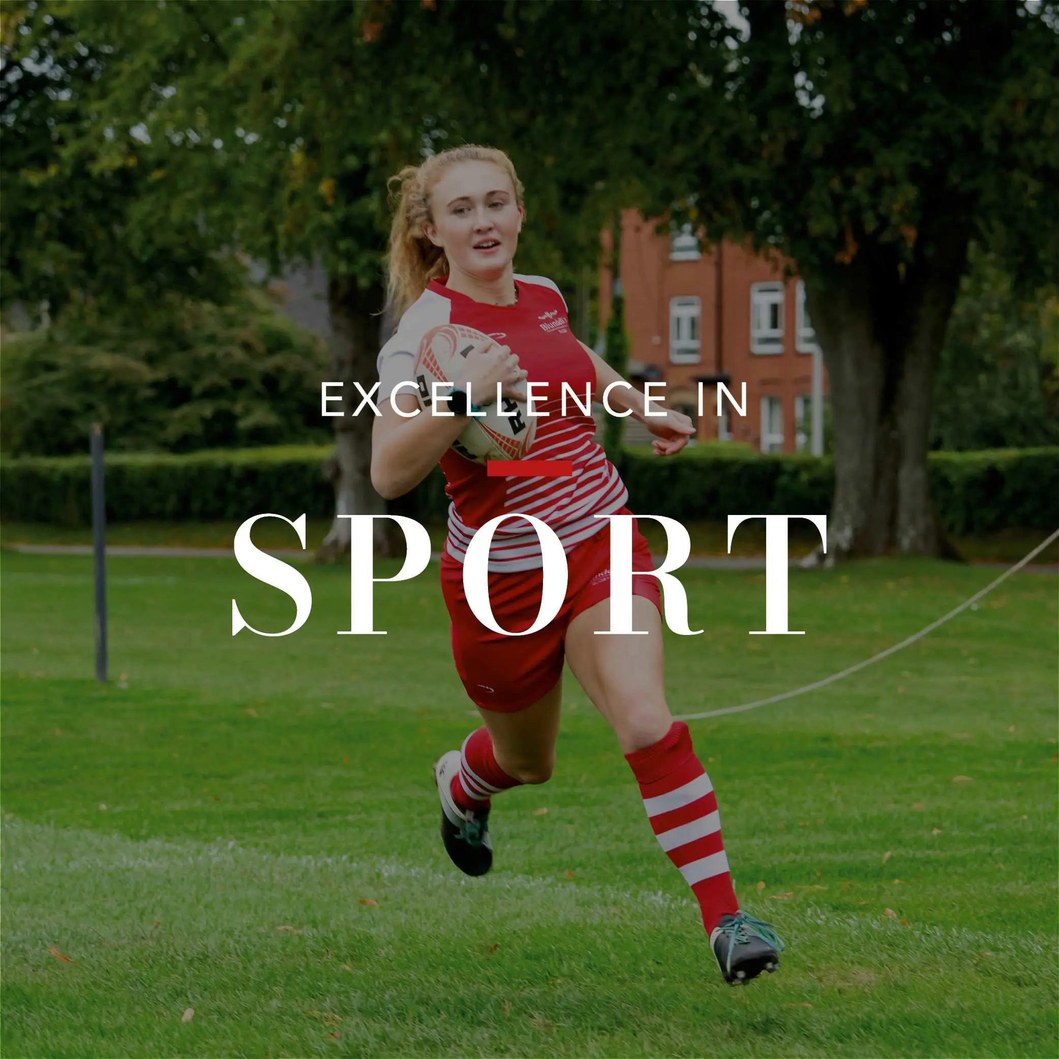  OptimizedImage,,,Optimized