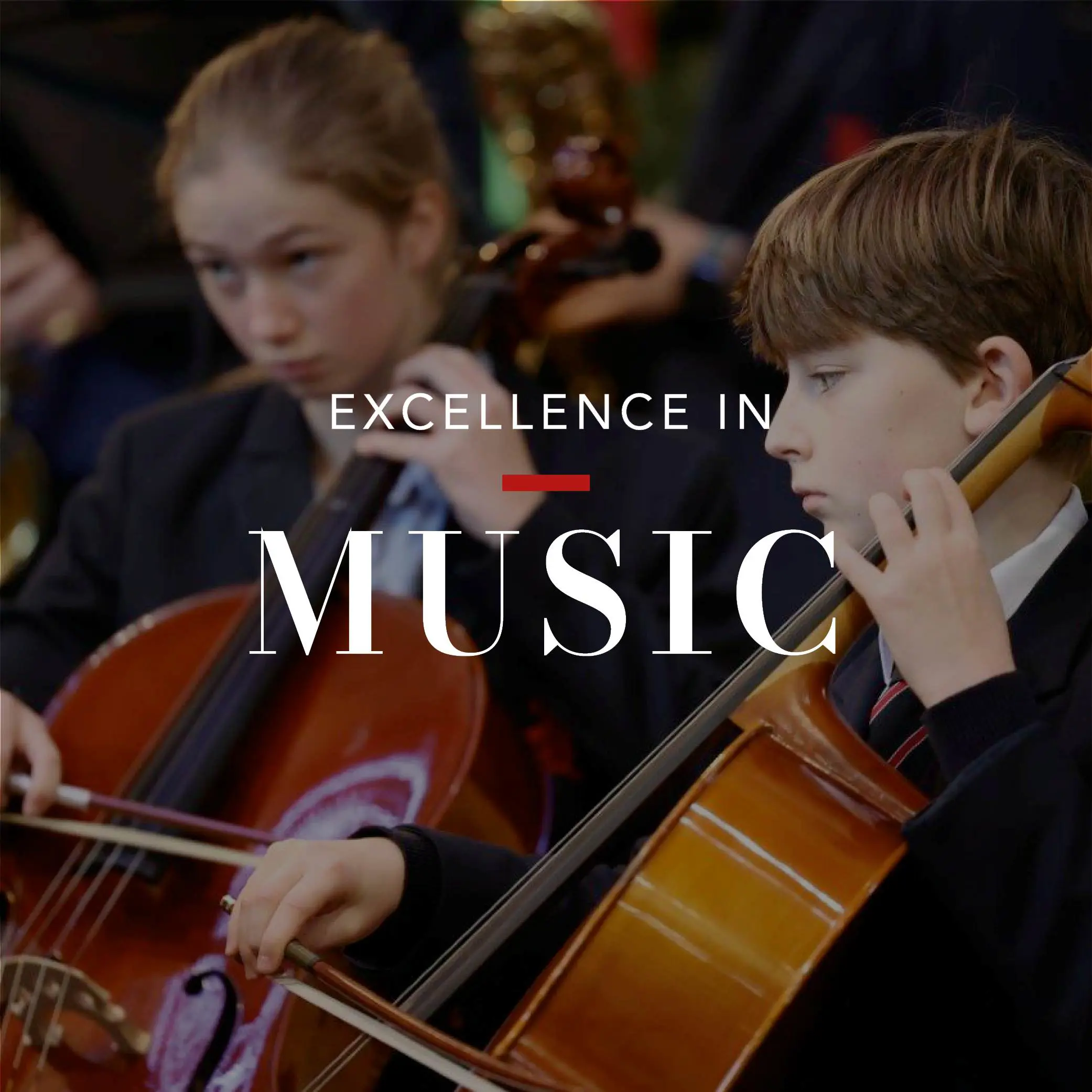  OptimizedImage,,,Optimized