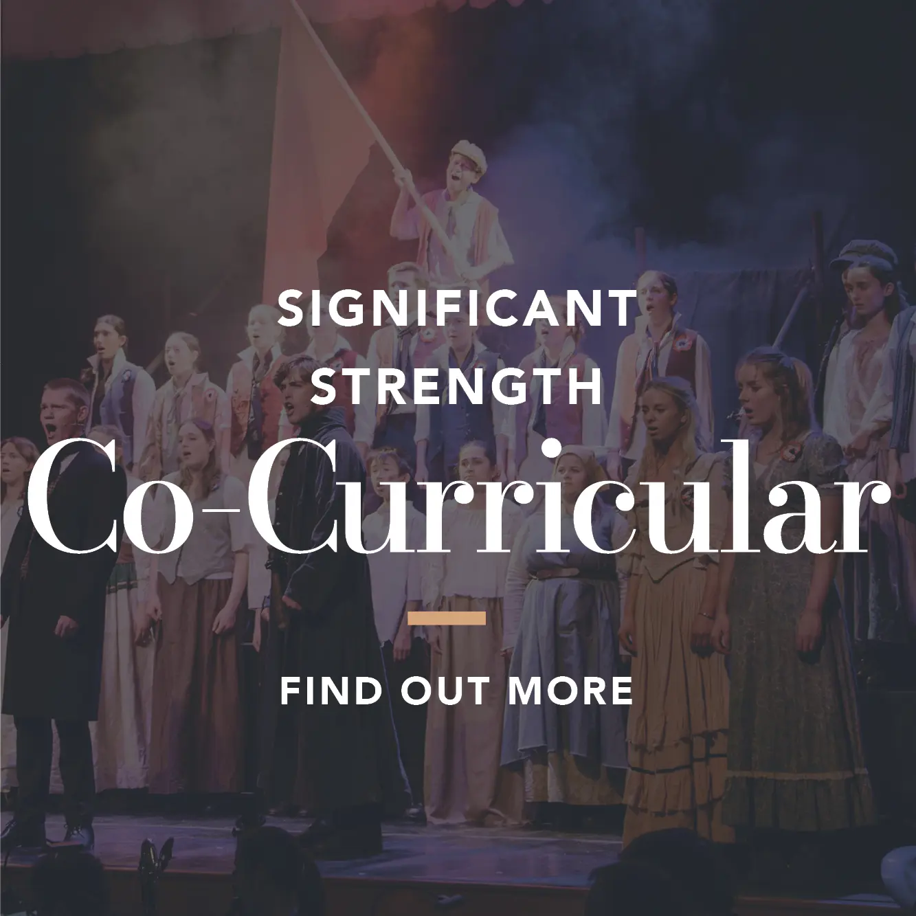  OptimizedImage,,,Optimized